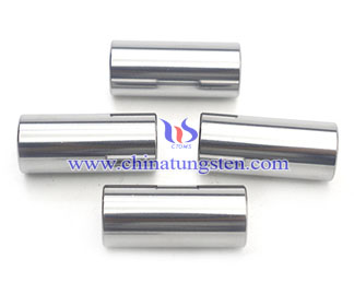 Tungsten carbide punch pins Picture