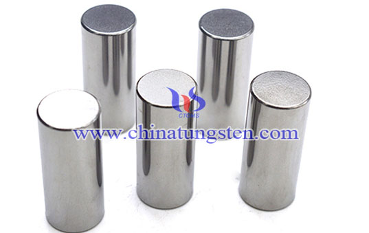 Tungsten carbide punch pins Picture