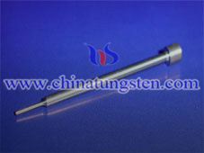 Tungsten Carbide Pins Picture